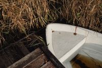 Kaboompics - White Rowboat Moored Among Tall Lakeside Reeds