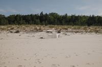 Kaboompics - Empty Sandy Beach with Coastal Dunes and Forest