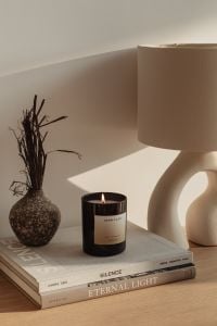 Kaboompics - Scented Candle, Dried Branches and Sculptural Lamp in Neutral Home Decor
