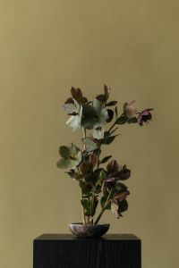 Kaboompics - Moody White and Purple Floral Arrangement in a Dark Bowl