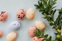 Kaboompics - Easter Eggs & Buxus - Boxtree - Boxwood