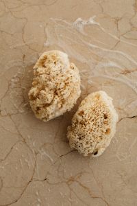 Kaboompics - Two Natural Sea Sponges on a Wet Stone Surface