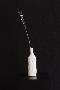 Kaboompics - Minimalist White Vase With Delicate Dried Flax On Black Background