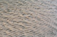 Kaboompics - Gray Ripples and Scattered Dark Specks, Minimal Natural Texture Background