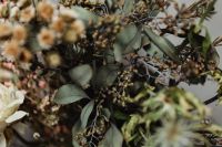 Kaboompics - Macro of Dried Flower Branches with Seed Pods and Rounded Gray-Green Leaves, Rustic Botanical Background