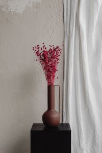 Kaboompics - Minimal Red Seed Pod Bouquet Beside Sheer Curtain