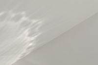 Kaboompics - Soft Organic Shadows on White Wall Background
