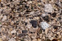 Kaboompics - Clear Shallow Seawater over Pebbles with Rippled Light Patterns