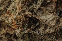 Kaboompics - Dark Gray and Ochre Rock Surface with Weathered Mineral Relief