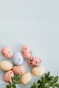 Kaboompics - Easter Eggs & Buxus - Boxtree - Boxwood