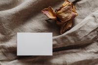 Kaboompics - Overhead Blank Business Card beside a Dried Flower on Linen