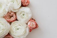 Kaboompics - White Ranunculus and Blush Flowers Framing Beige Copy Space, Horizontal Floral Background