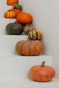 Kaboompics - Mixed Pumpkins on White Geometric Steps