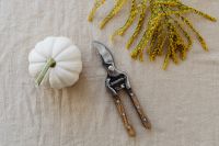 Kaboompics - White Pumpkin, Goldenrod and Garden Pruners on Textured Linen, Autumn Gardening Flat Lay