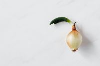 Kaboompics - Sprouting Yellow Onion on White Background with Copy Space for Food Design