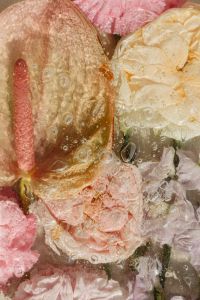 Abstract Floral Backgrounds and Neutral Still Life Behind Textured Glass