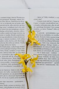 Kaboompics - Vertical Close-Up of Yellow Flowers Between Open Book Pages for Reading Content