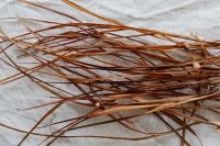 Kaboompics - Macro Dried Grass Stems Crossing Textured Linen, Neutral Botanical Texture