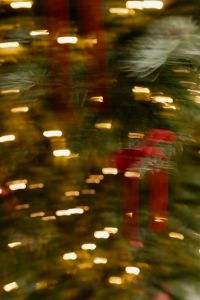 Kaboompics - Abstract Christmas Tree with Red Ribbon Bows and Warm Light Trails