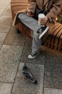 Kaboompics - Woman with Coffee Sitting on a Bench as Pigeons Approach