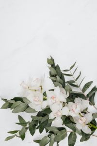 White Cymbidium Orchids and Eucalyptus on Marble
