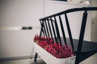 Kaboompics - Red plants in a long white flowerpot on a back of a bench