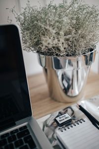 Kaboompics - Macbook pro with a plant and a notepad on a wooden desk