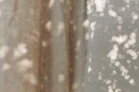 Kaboompics - Soft-Focus Linen Curtain with Bokeh Leaf Shadows