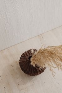 Kaboompics - Overhead Close-Up of Dried Pampas Grass in a Sculptural Brown Vase on Pale Stone
