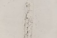 Kaboompics - Peeling White Paint Texture Background