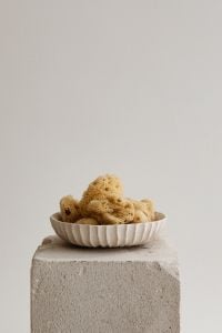 Kaboompics - Bowl of Natural Sea Sponges on a Concrete Pedestal