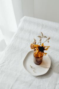 Kaboompics - Dried flowers and small vases
