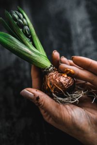 Kaboompics - Woman making a little ornamental seedling in a small jar