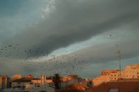Kaboompics - Stormy Sky Over Malaga with Flying Birds
