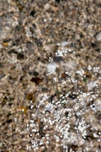 Kaboompics - Soft Blur of Wet Stones and Sunlit Sea Water