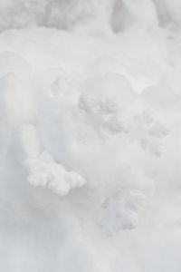 Kaboompics - Decorative snowflakes on fresh snow