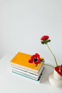 Kaboompics - Vertical Book Stack and Poppy Vase with Cropped Foreground Bloom
