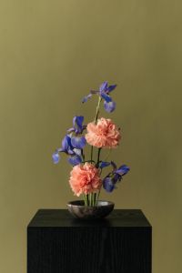 Kaboompics - Blue Iris and Peach Carnation Arrangement in a Dark Bowl