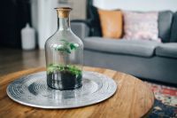 Kaboompics - Dutch Home Decor