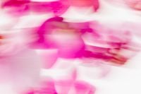 Kaboompics - Abstract Pink Orchid Blur Wide Background