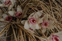 Kaboompics - White Orchids in Dried Grass, Editorial Floral Still Life