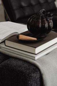 Kaboompics - Black Pumpkin Beside Open Book on Armchair
