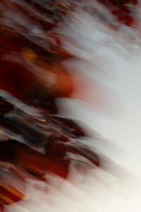 Kaboompics - Motion Blur Red Leaves Brown Background