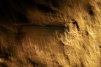 Kaboompics - Golden Curved Light Trails against Dark Brown, Wide Motion Blur Background