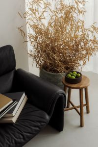 Kaboompics - Black Leather Sofa, Dried Branches, Green Apples and Books