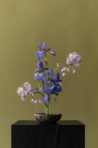 Kaboompics - Blue Iris and Light Purple Flowers in a Dark Bowl