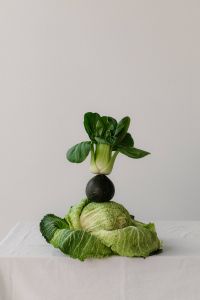 Kaboompics - Sculptural Bok Choy and Cabbage Vegetable Composition with Copy Space