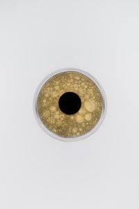 Kaboompics - Abstract Fragrance Bottle Top View