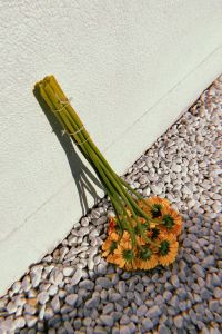 Kaboompics - Orange Flower Bouquet on White Wall and Pebble Ground with Copy Space