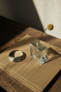 Kaboompics - Glass Vase with Yellow Craspedia on a Coffee Table Book